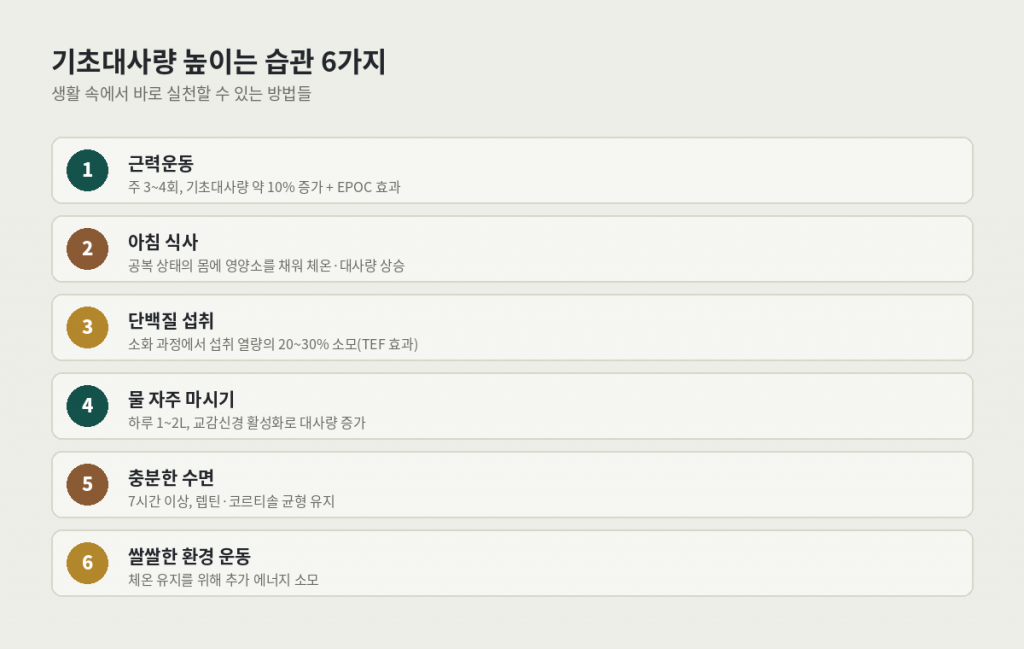 기초대사량 높이는 습관 6가지 — 근력운동, 아침 식사, 단백질 섭취, 물 마시기, 수면, 쌀쌀한 환경 운동