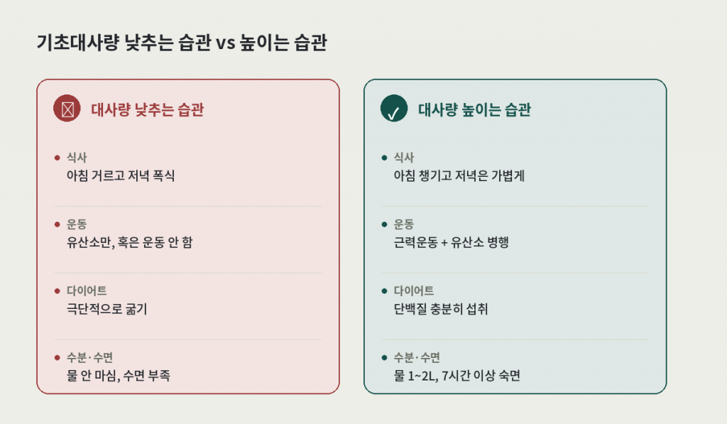 기초대사량 낮추는 습관과 높이는 습관 비교 카드 — 식사, 운동, 다이어트, 수분·수면