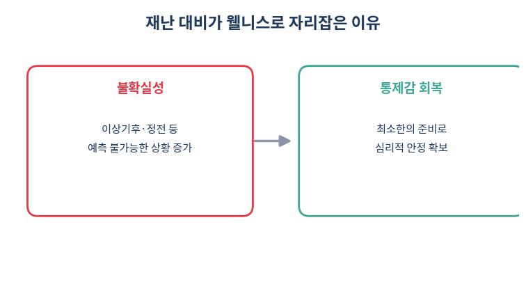 재난 대비가 웰니스로 자리잡은 배경