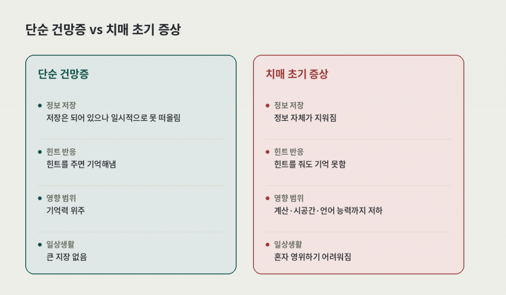 단순 건망증과 치매 초기 증상 비교 카드 — 정보 저장, 힌트 반응, 영향 범위, 일상생활