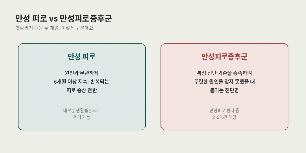 간 피로 회복과 함께 알아야 할 만성 피로와 만성피로증후군의 차이 비교 카드