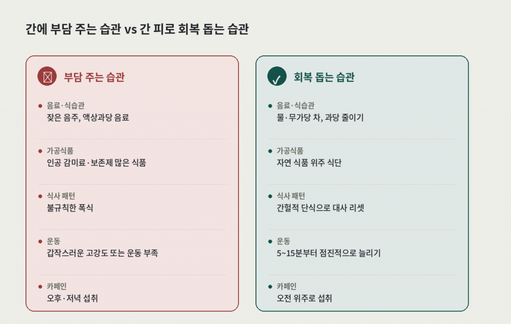 간에 부담 주는 습관과 간 피로 회복 돕는 습관 비교 카드 — 음료·식습관, 가공식품, 식사 패턴, 운동, 카페인
