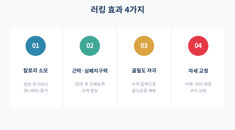 러킹 효과 4가지 카드형 정리