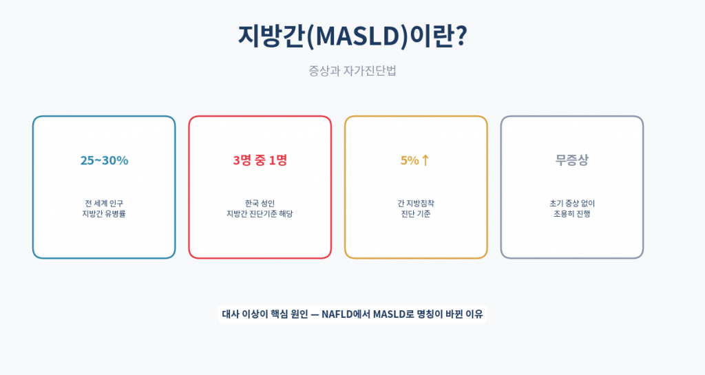 지방간 MASLD 개념 인포그래픽 진단기준 3축