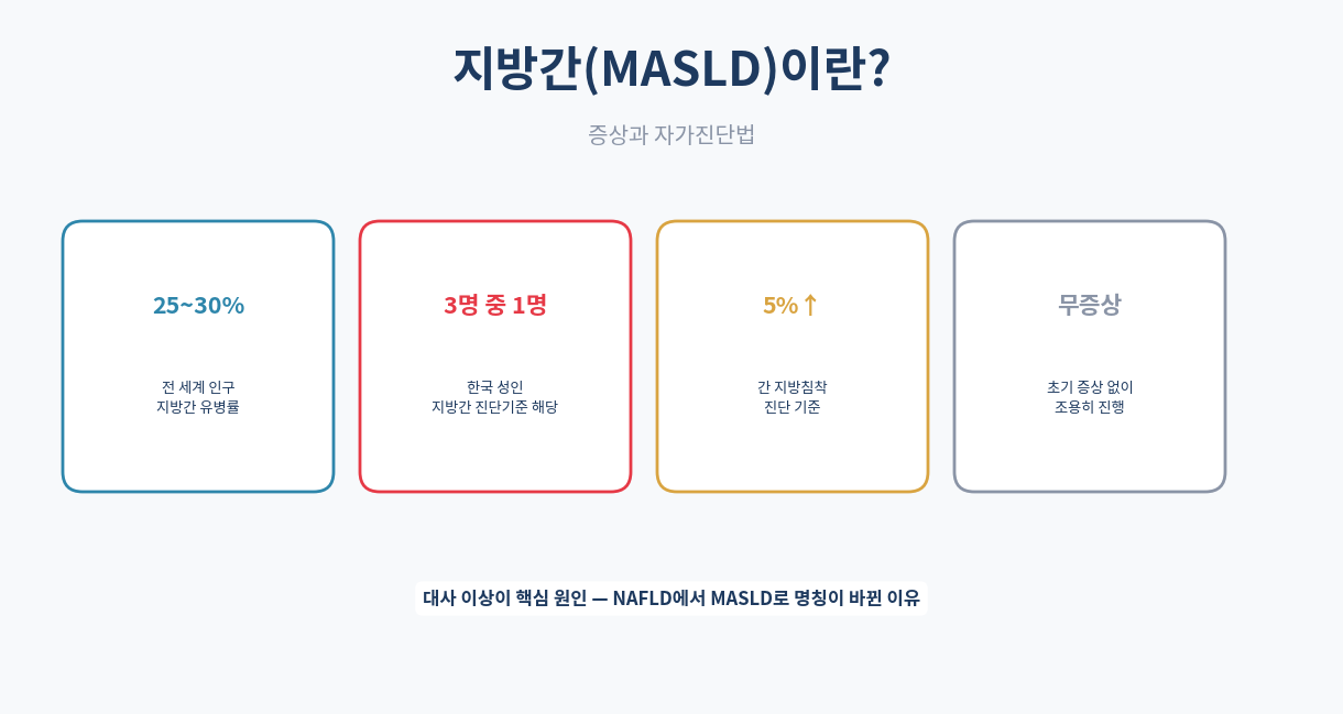 지방간(MASLD)이란|증상과 자가진단법