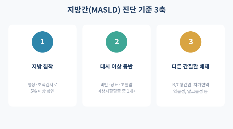 지방간 MASLD 진단 기준 3축 다이어그램