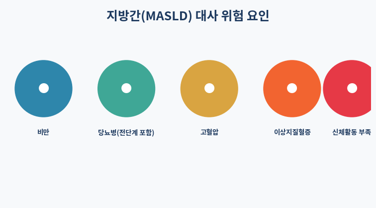 지방간 MASLD 대사 위험 요인