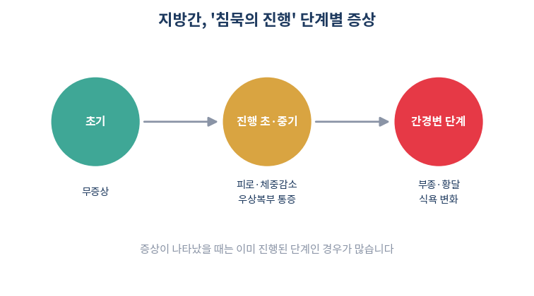 지방간 침묵의 진행 단계별 증상