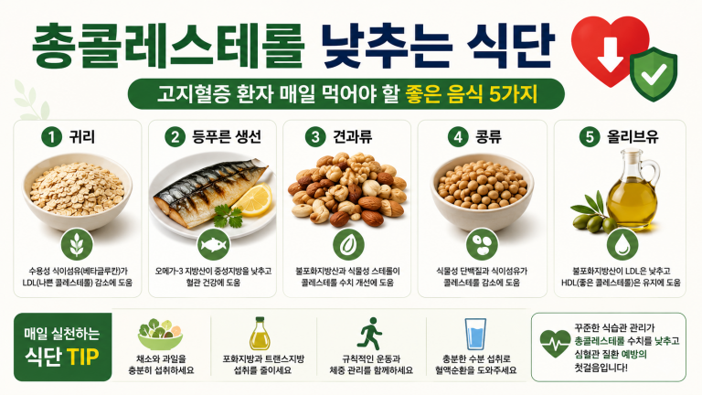 총콜레스테롤 낮추는 식단 고지혈증 환자 매일 먹어야 할 좋은 음식 5가지