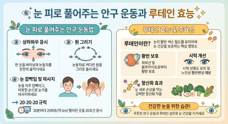 눈 피로 풀어주는 안구 운동과 루테인 효능 인포그래픽