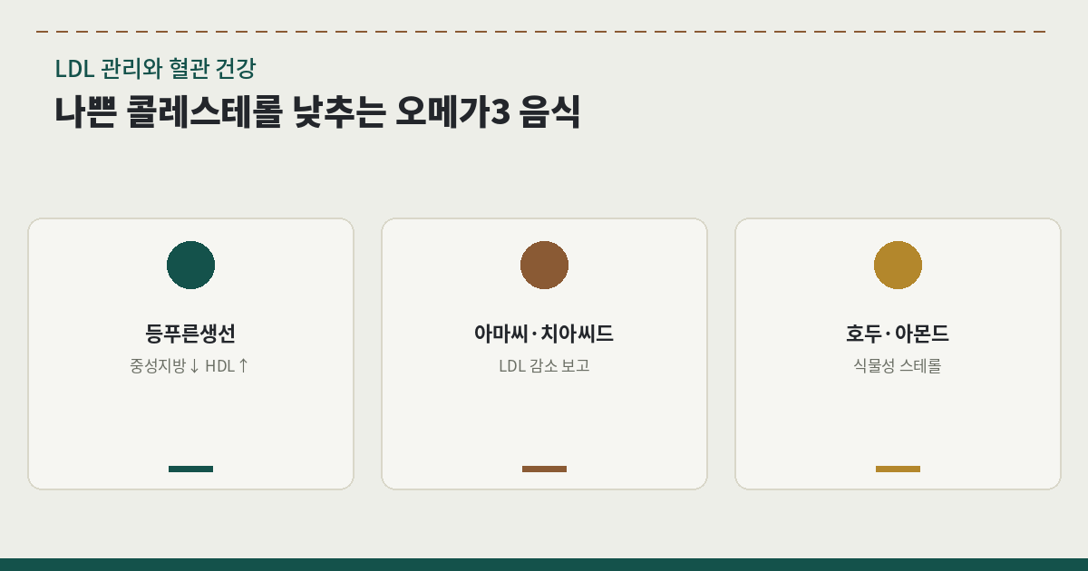 나쁜 콜레스테롤 낮추는 오메가3 음식|LDL 관리와 혈관 건강