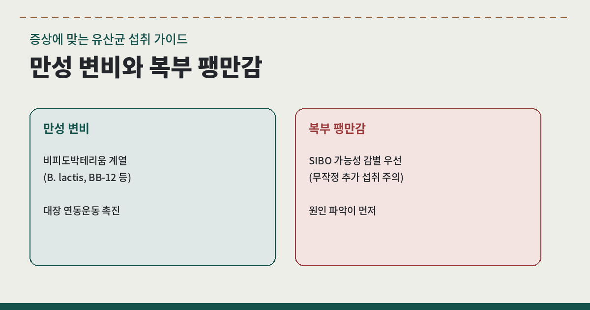 만성 변비와 복부 팽만감 잡는 유산균 섭취 가이드