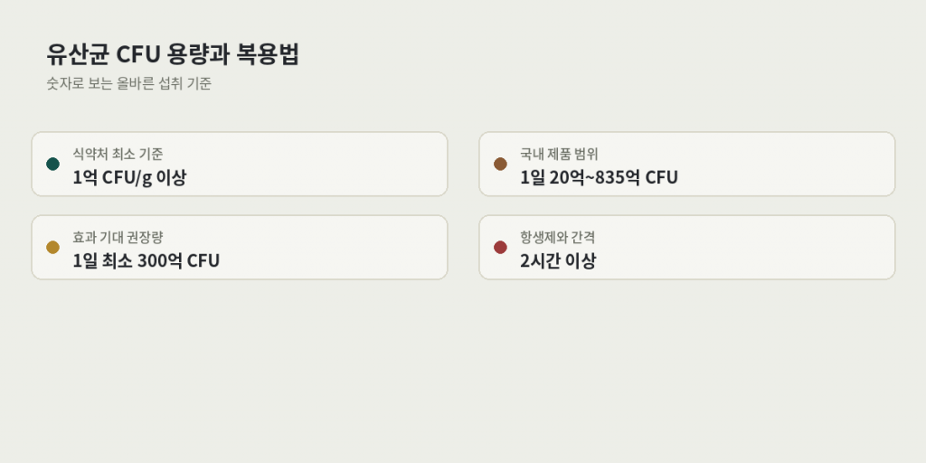 만성 변비와 복부 팽만감 관리를 위한 유산균 CFU 용량과 복용법 가이드