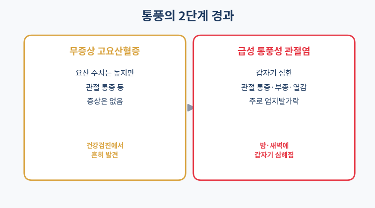 통풍 2단계 경과 무증상고요산혈증 급성통풍성관절염