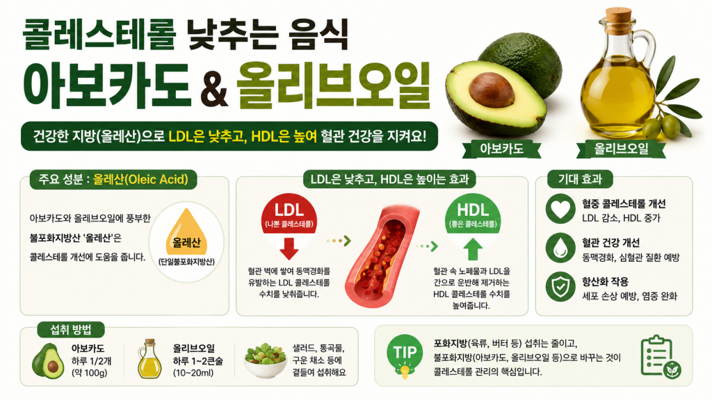 콜레스테롤 낮추는 음식 아보카도 올리브오일 올레산 LDL HDL 효능