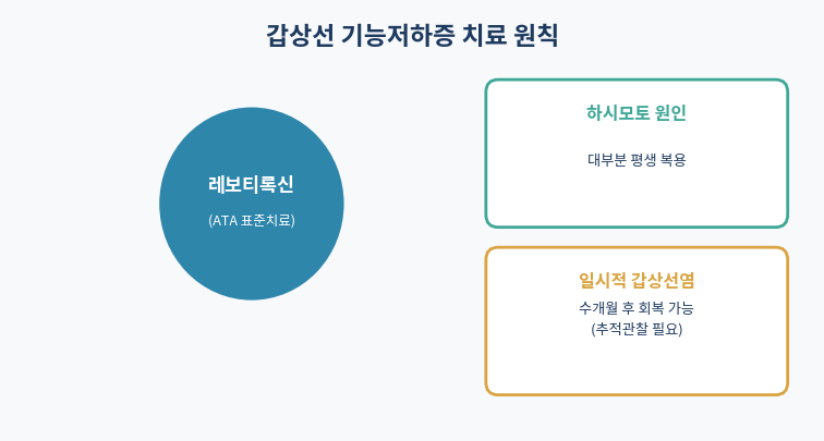 갑상선 기능저하증 레보티록신 치료 원칙