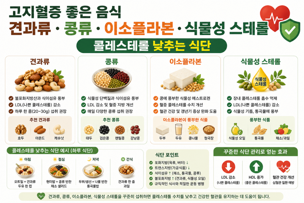 고지혈증 좋은 음식 견과류 콩류 이소플라본 식물성 스테롤 콜레스테롤 낮추는 식단