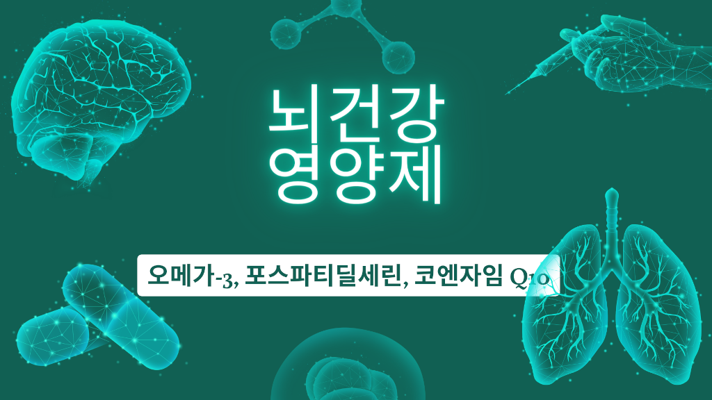 뇌 건강 영양제 성분 비교표와 똑똑한 선택법 가이드