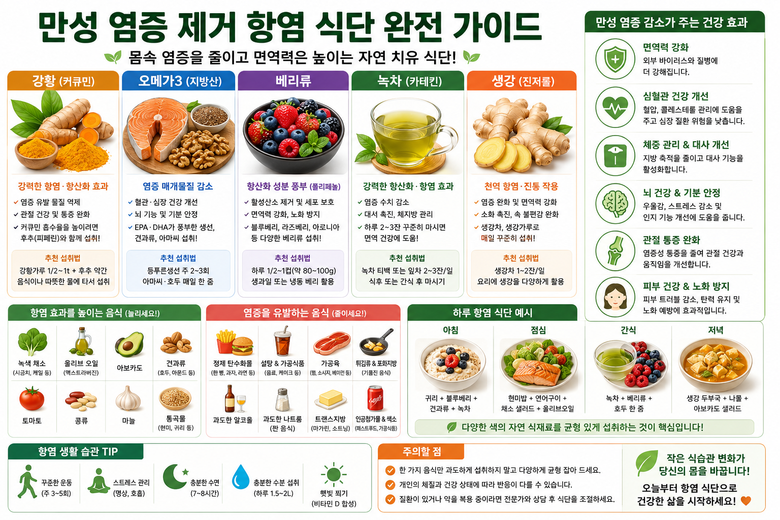 몸속 만성 염증 제거하는 가장 쉬운 방법|항염 식단 완전 가이드