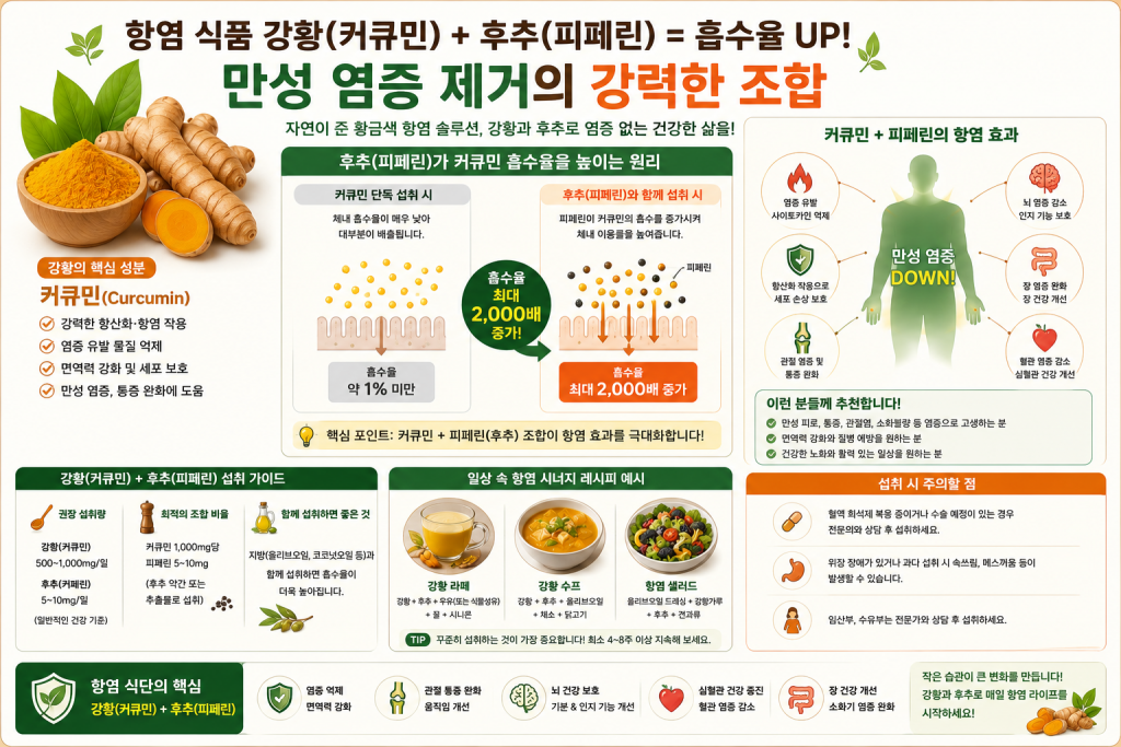 항염 식품 강황 커큐민 후추 흡수율 만성 염증 제거