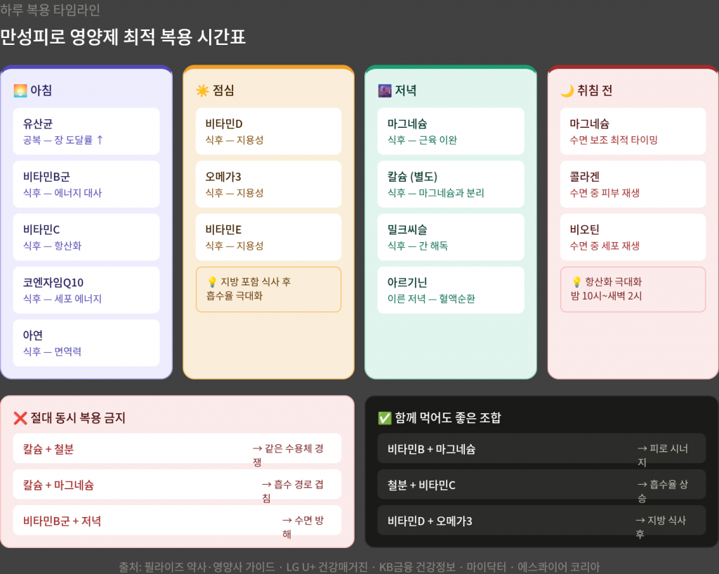 만성피로 영양제 최적 복용 시간표