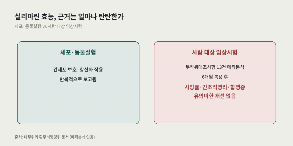 밀크씨슬 실리마린 효능 근거 팩트체크 — 세포·동물실험 결과와 사람 대상 임상시험 메타분석 결과 비교