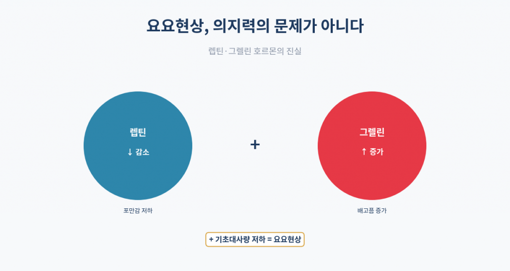 요요현상 호르몬 메커니즘 인포그래픽 렙틴 그렐린