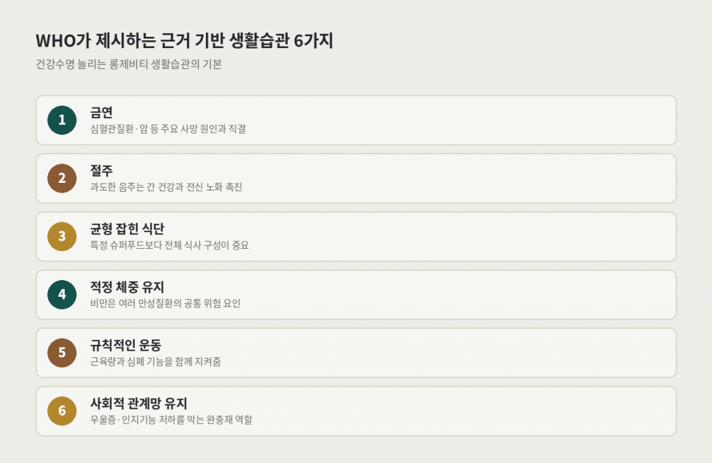 건강수명 늘리는 롱제비티 생활습관 WHO 권장 6가지 — 금연, 절주, 균형식단, 적정체중, 운동, 사회적 관계망