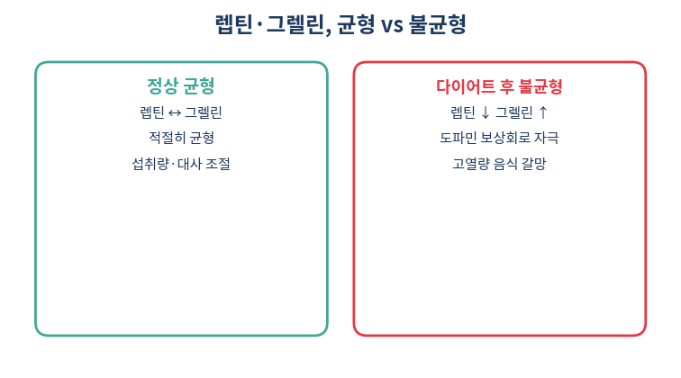 렙틴 그렐린 균형과 불균형 비교
