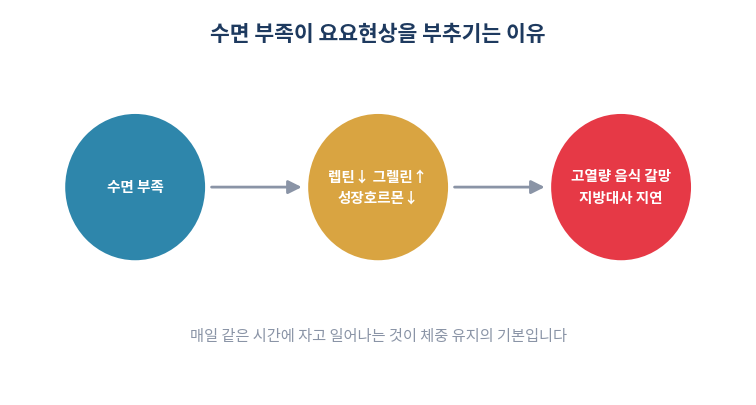 수면 부족이 요요현상을 부추기는 이유