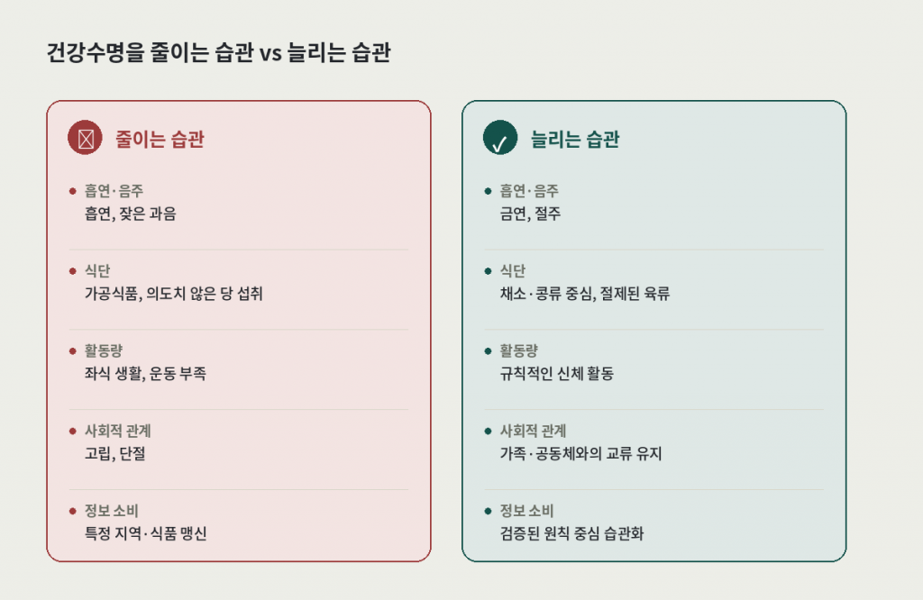 건강수명 늘리는 롱제비티 생활습관 WHO 권장 6가지 — 금연, 절주, 균형식단, 적정체중, 운동, 사회적 관계망
