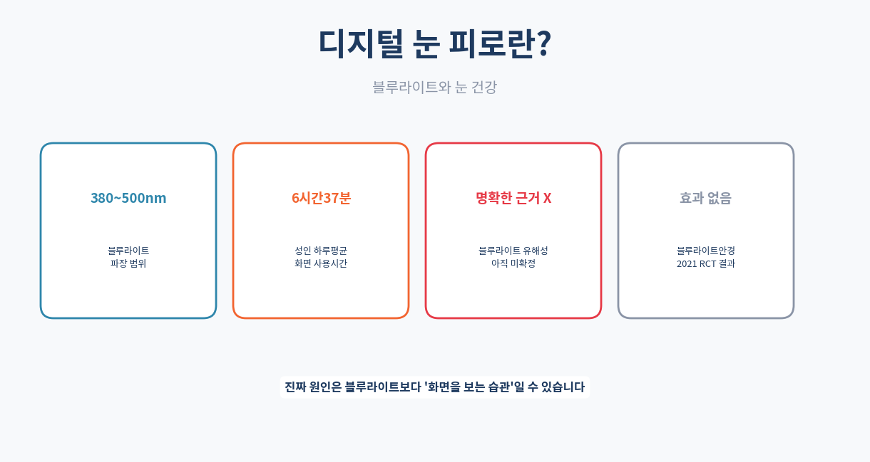 디지털 눈 피로란|블루라이트와 눈 건강