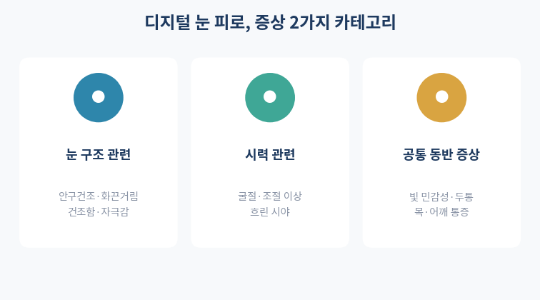 디지털 눈 피로 증상 눈구조 시력관련