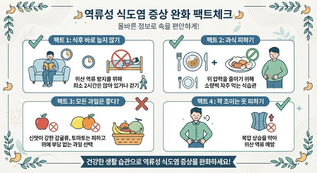 역류성 식도염 증상 완화 팩트체크 인포그래픽