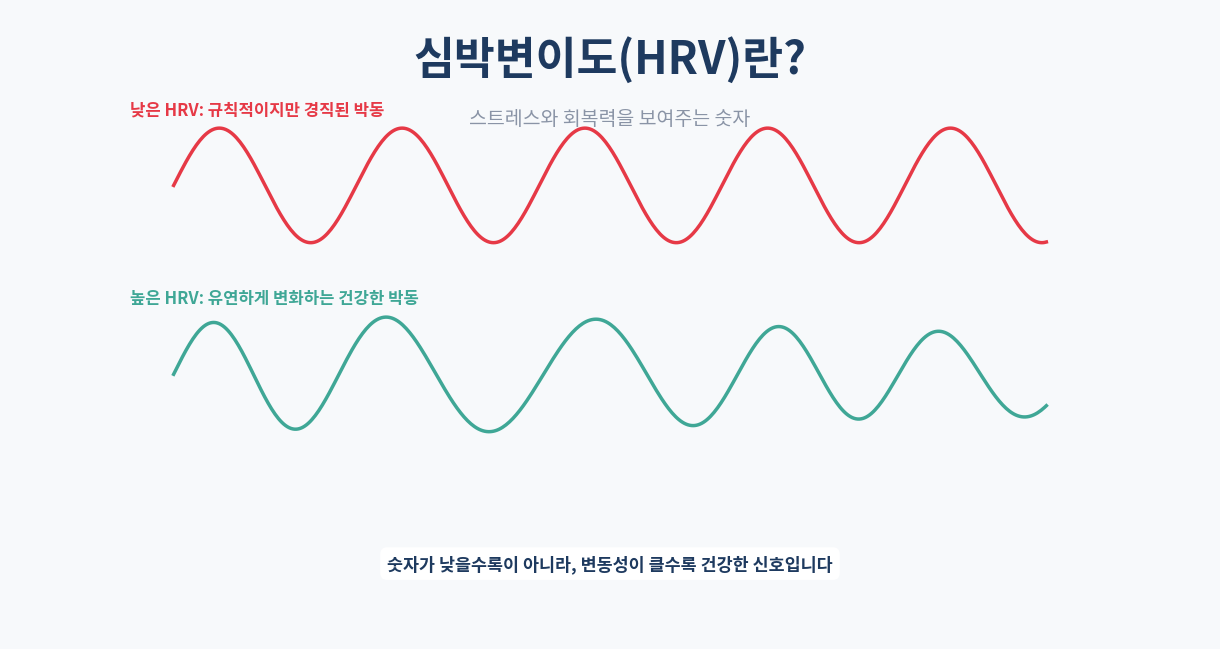 심박변이도(HRV)란｜스트레스와 회복력을 보여주는 숫자
