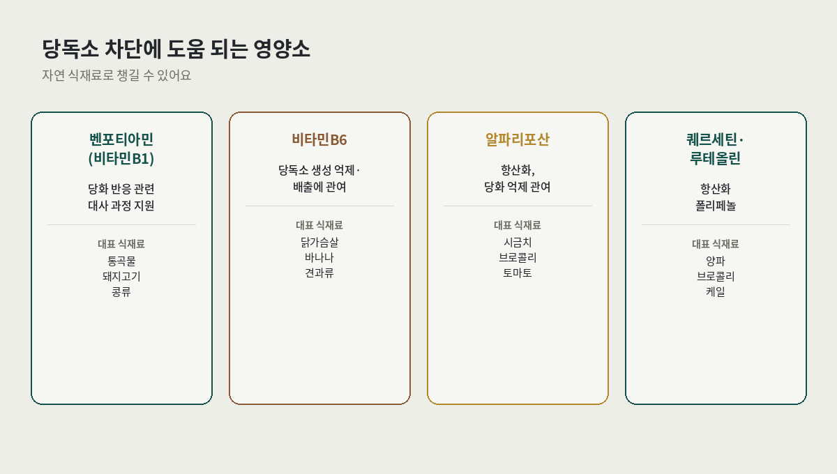 당독소 차단 메뉴에 도움이 되는 영양소 4가지 — 벤포티아민, 비타민B6, 알파리포산, 퀘르세틴·루테올린