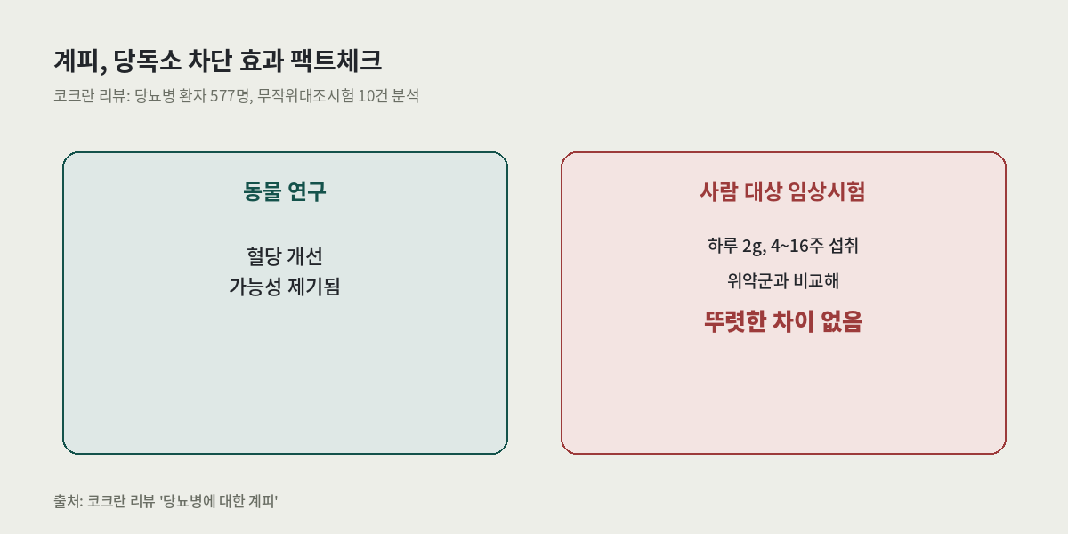 당독소 차단 메뉴에 자주 언급되는 계피 효과 팩트체크 — 동물 연구 vs 코크란 리뷰 사람 대상 임상시험 결과