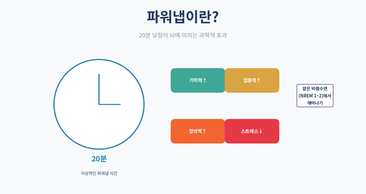 파워냅이란｜20분 낮잠이 뇌에 미치는 과학적 효과