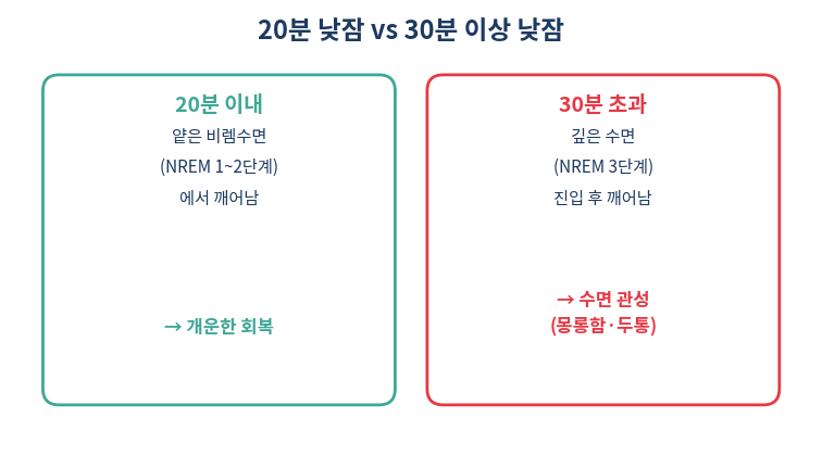 파워냅 20분 vs 30분 이상 수면관성 비교