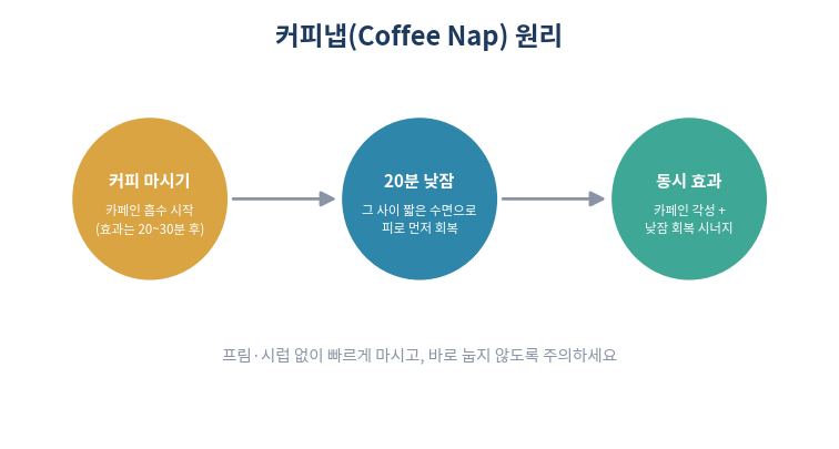 커피냅 원리 카페인과 낮잠의 시너지