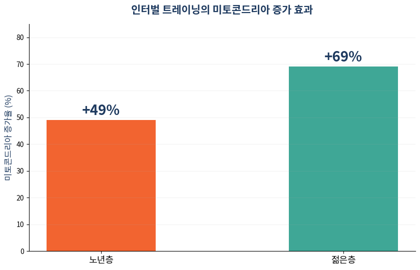 인터벌 트레이닝 미토콘드리아 증가율 노년층 젊은층