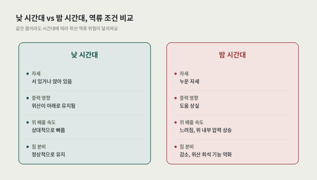 밤에 심해지는 역류성 식도염 — 낮 시간대와 밤 시간대의 역류 조건 비교 카드