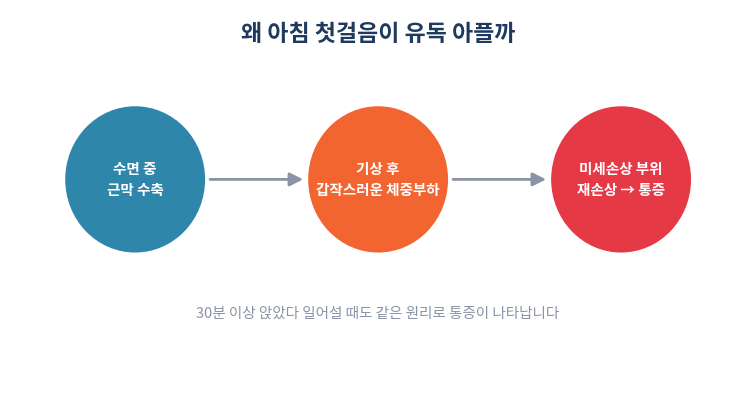 족저근막염 아침 첫걸음 통증 원리
