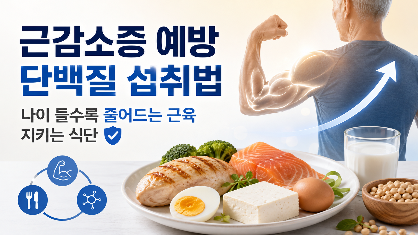 근감소증 예방 단백질 섭취법 나이 들수록 줄어드는 근육 지키는 식단 인포그래픽